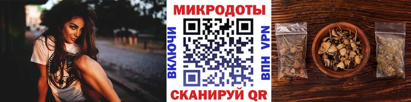 гидра зеркало  Черкесск  Псилоцибиновые грибы мицелий  цены  