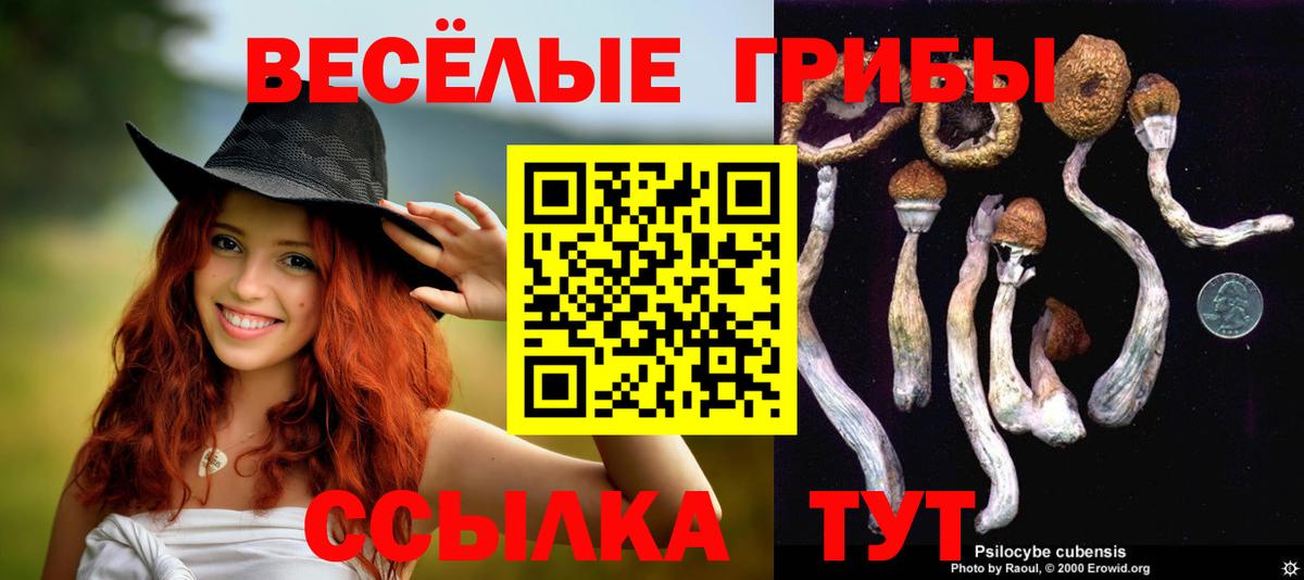 Псилоцибиновые грибы Magic Shrooms  Галлюциногенные грибы Psilocybine cubensis  Вход с VPN  Черкесск 